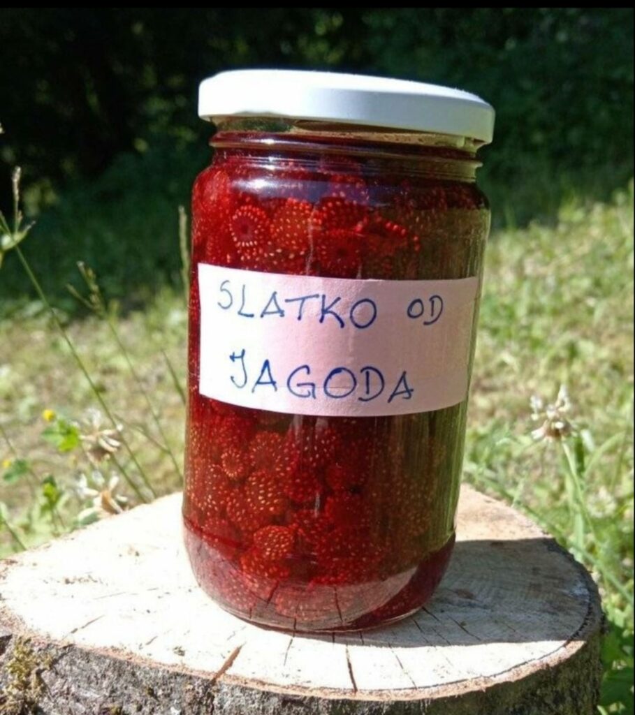 gazdinstvo-ilic