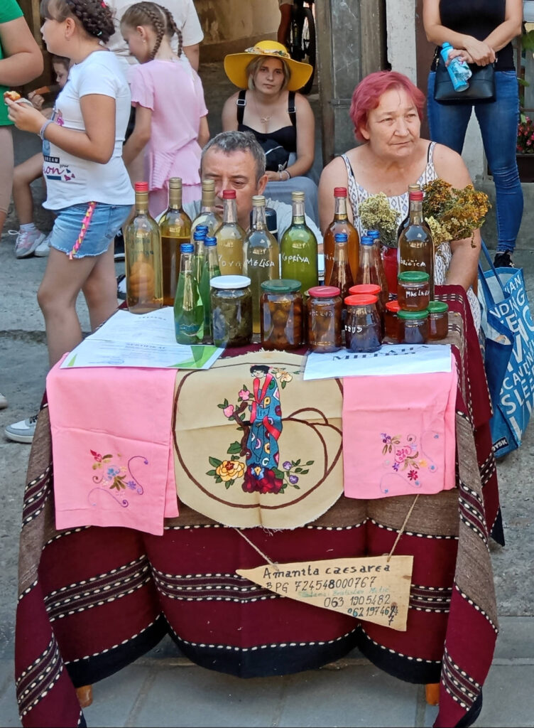 Seoske zene snaga juga 2024